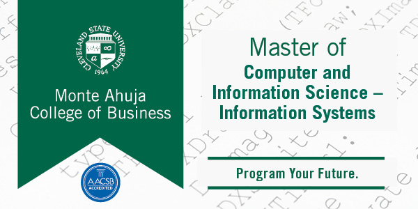 Master thesis on information security