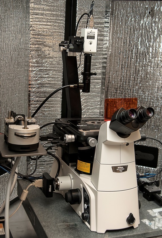 Inverted Epifluorescence Microscope, Nikon Eclipse Ti Model