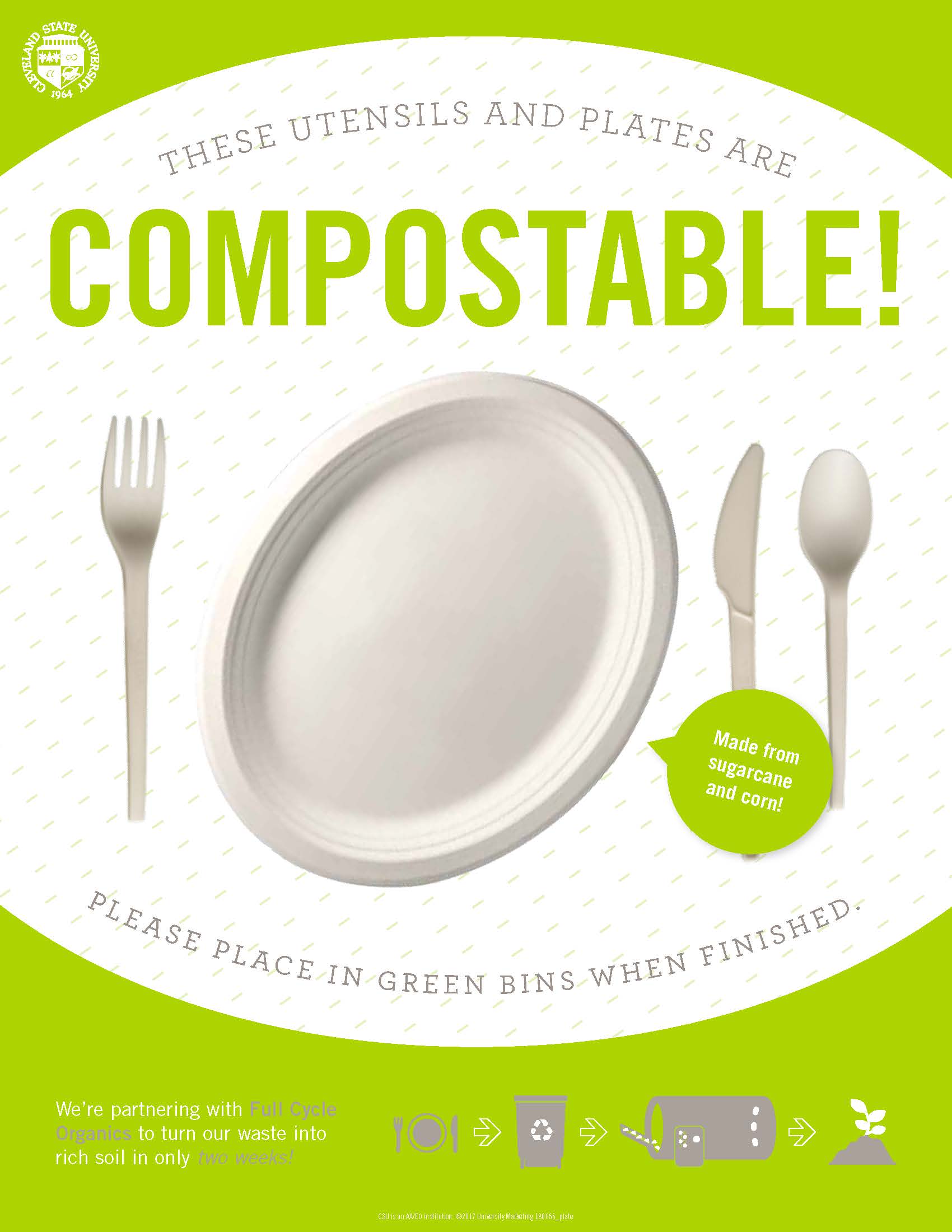 Compostable Plates and Utensils