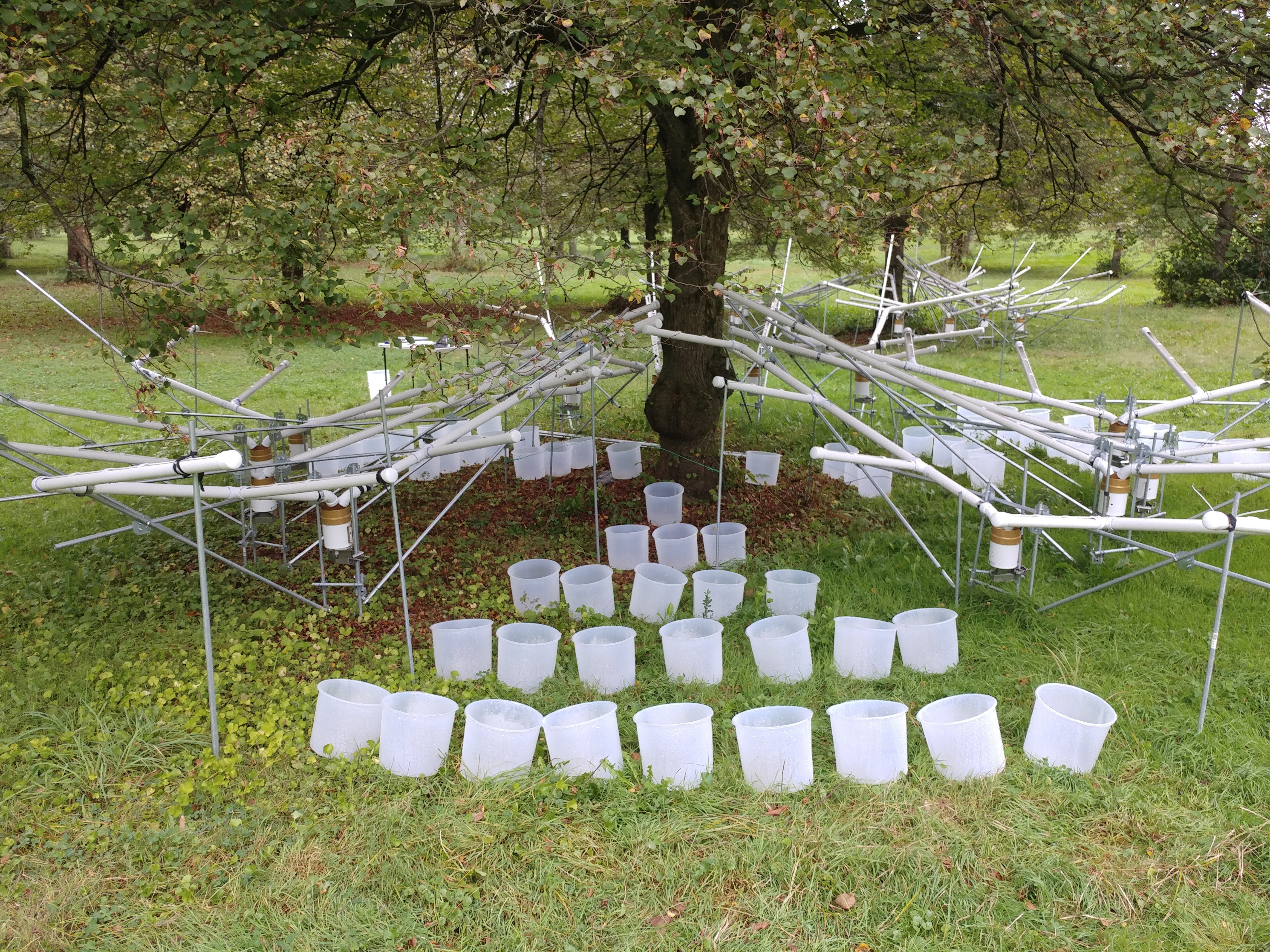 Ohio Sea Grant Kevin Mueller Ph.D. Urban Rainfall