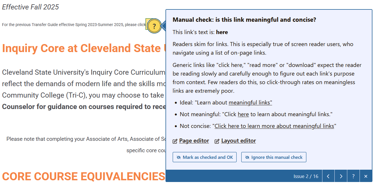 editoria11y manual check screen