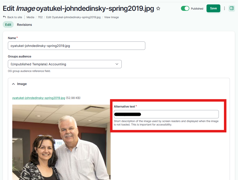 fill in blank alternative text field