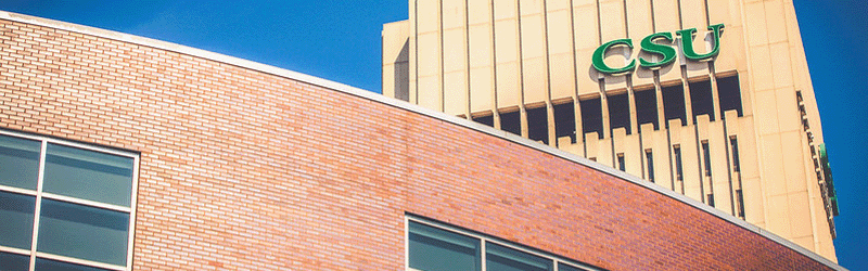 Student Center with Rhodes Tower in the background