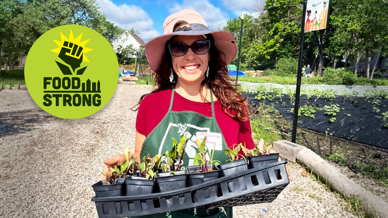 Food Strong CEO Sara Continenza