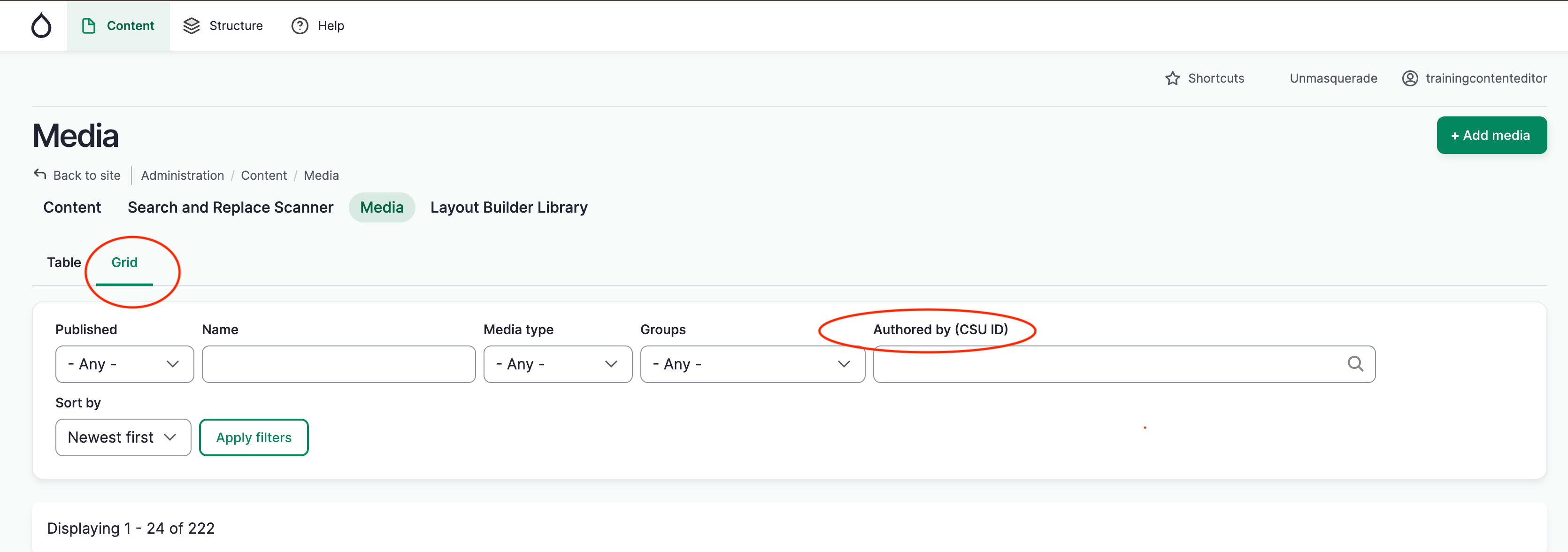 Make sure you are in Grid mode