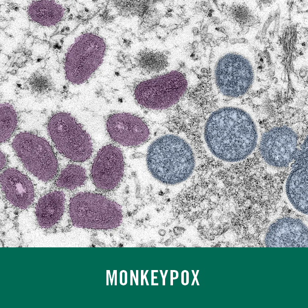 Monkeypox