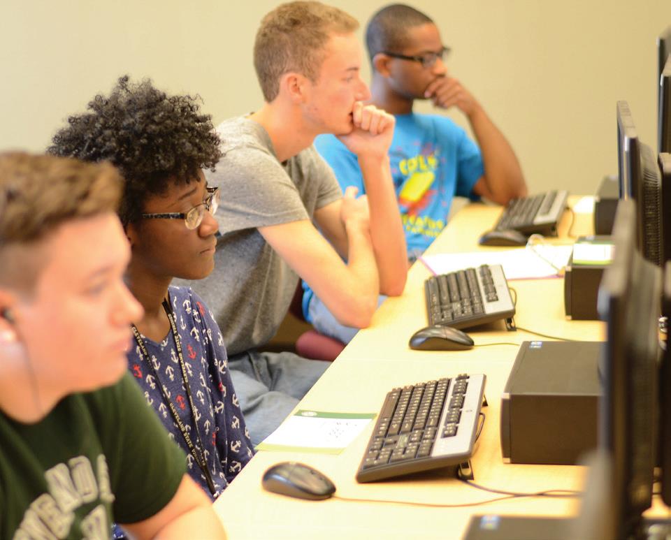 COF_ STEM Fellows