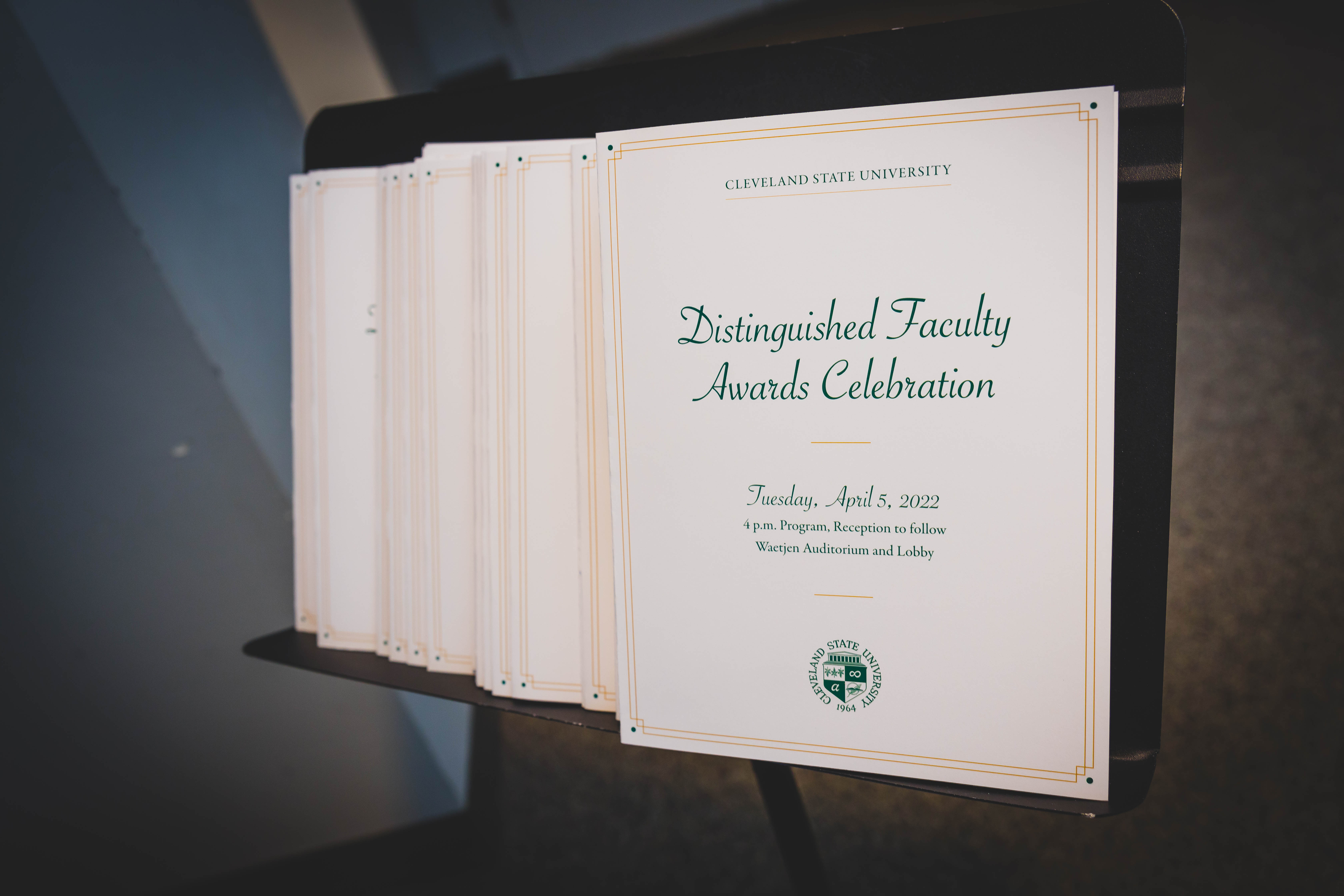 distinguished faculty and librarians achieved promotions