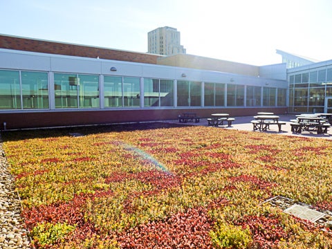 RC Green Roof CSU