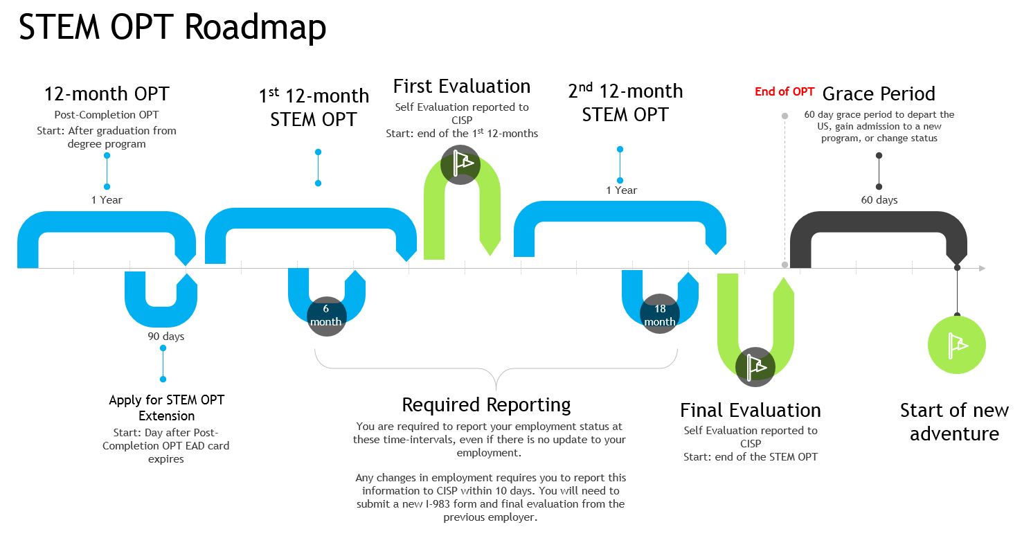 STEM OPT Reporting Timeline