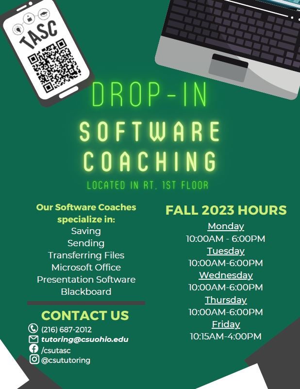 Software Coaching Flyer