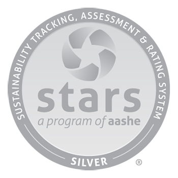 Stars Silver