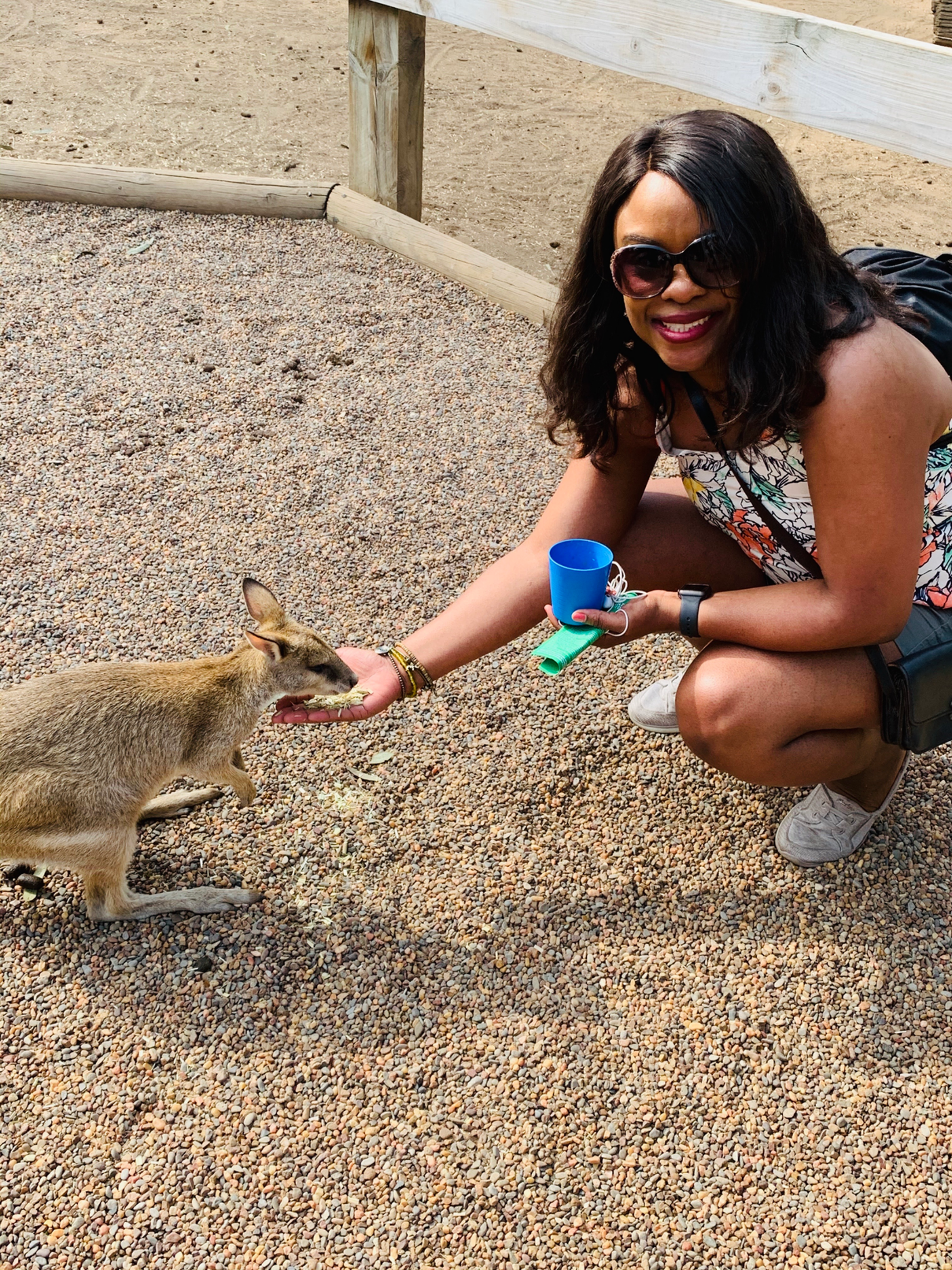 Studying Abroad at CSU can Provide Life-Changing Experiences, Competitive Advantages