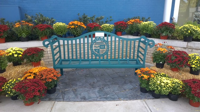 Lester D. Mitchell Memorial Bench