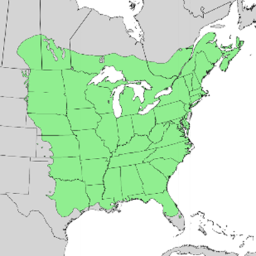 american-elm-map.png