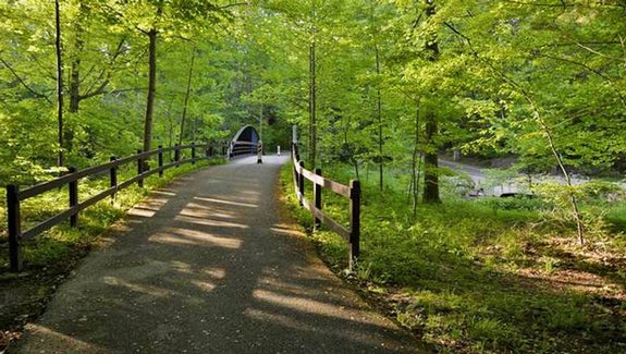 trail in the Cleveland Metroparks