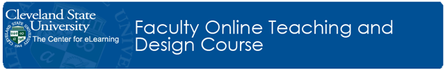 Faculty Orientation Course Banner