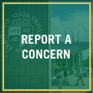 Report a Concern