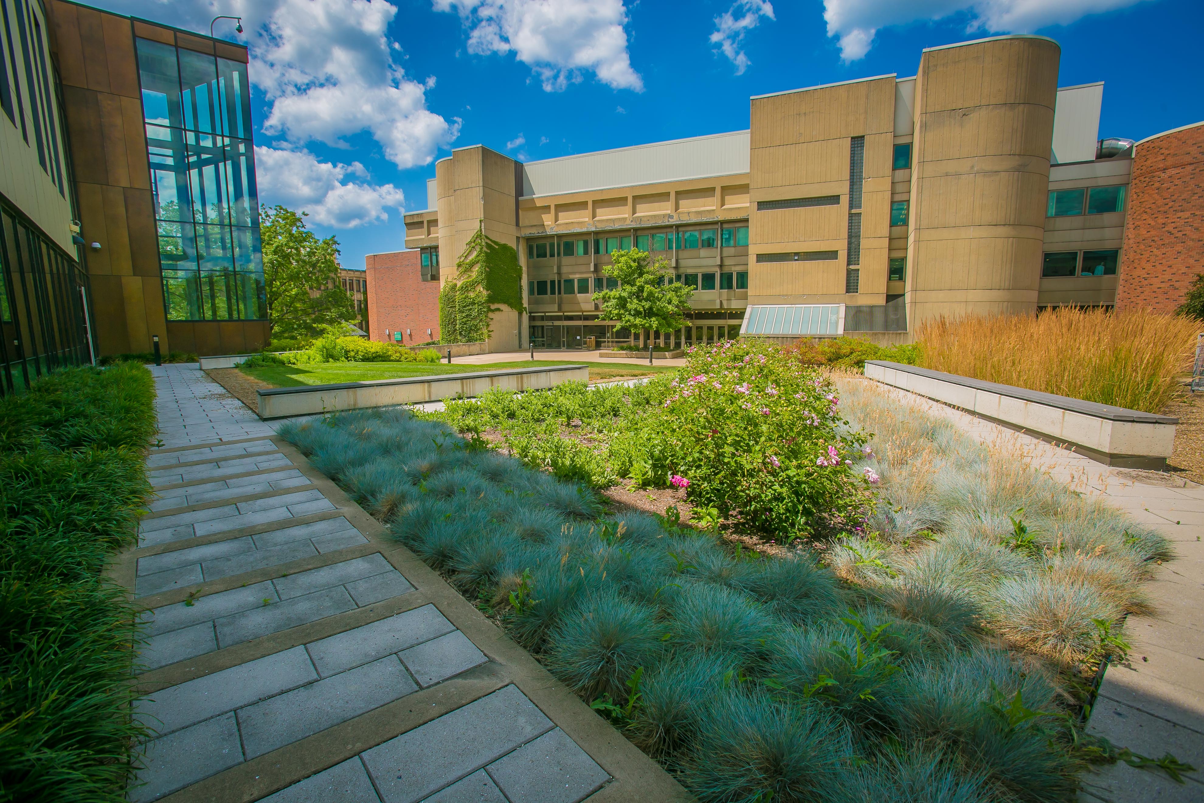 Health Sciences Green Roof