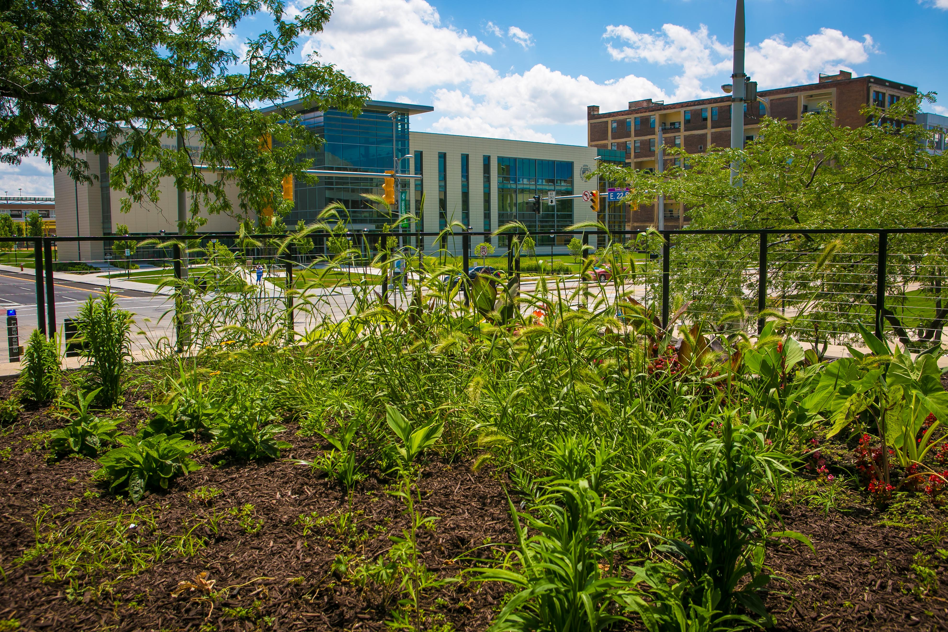 SEM Pollinator Garden