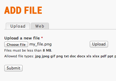 After the user has selected the file and clicked on the Upload button, the file name will be displayed and is now ready to be submitted.