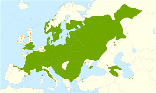 littleleaf-map.jpg