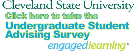 undergraduate_student_survey.jpg