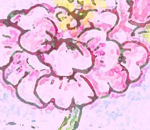 R3image.jpg