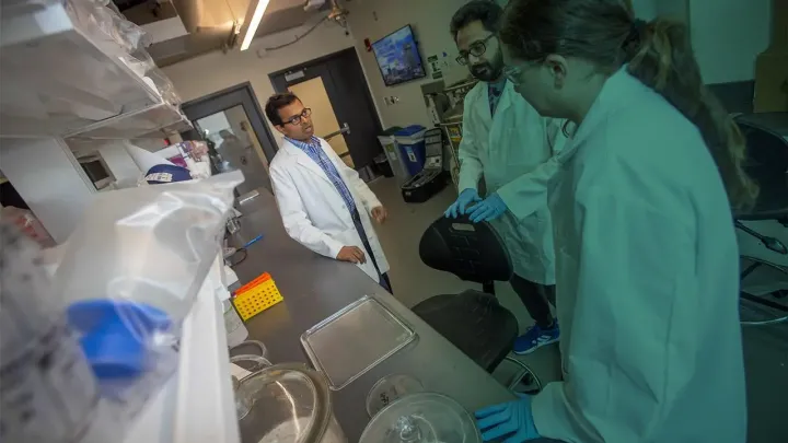 Students in lab coats