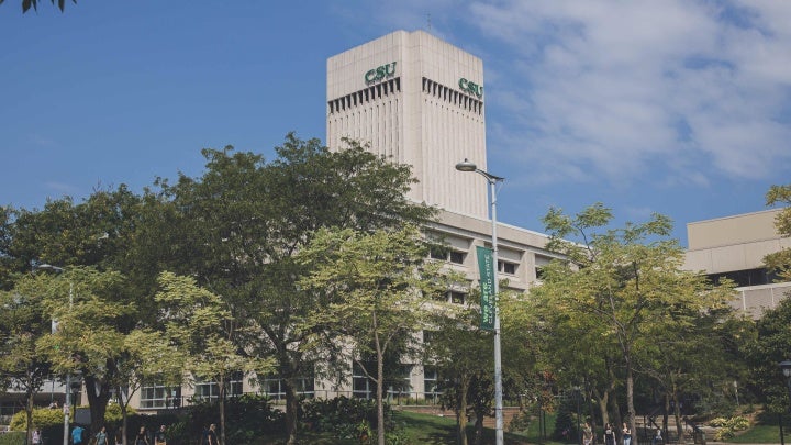 Rhodes Tower