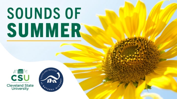 Sounds of Summer '25