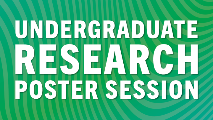 Undergraduate Poster Session