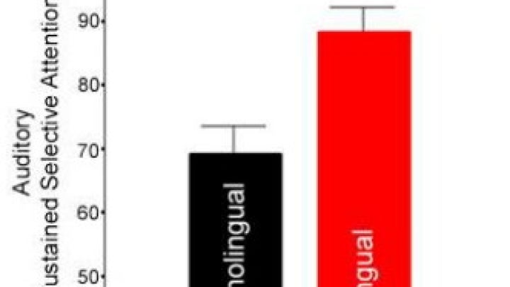 Languages and selective hearing comparison