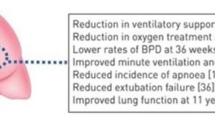 Caffeine citrate's effect on the infant body