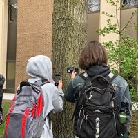 Students on the Tree Tour