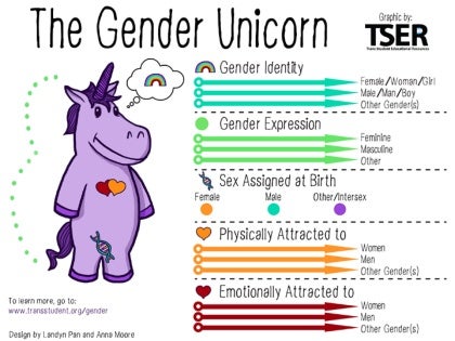 Gender unicorn infographic