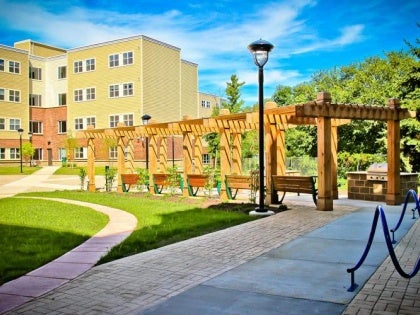 CSU Earns Tree Campus Higher Education nod from Arbor Day Foundation