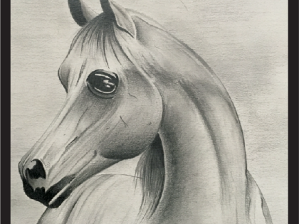 Ink drawing of a horse