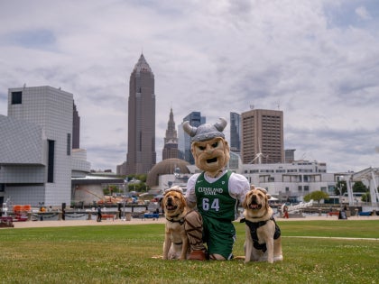 Magnus CSUPD K9s