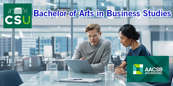 Bachelor of Arts in Business Studies