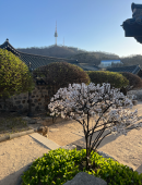 Studying Abroad at CSU can Provide Life-Changing Experiences, Competitive Advantages