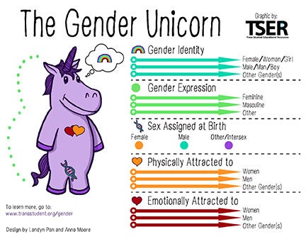 The Gender Unicorn